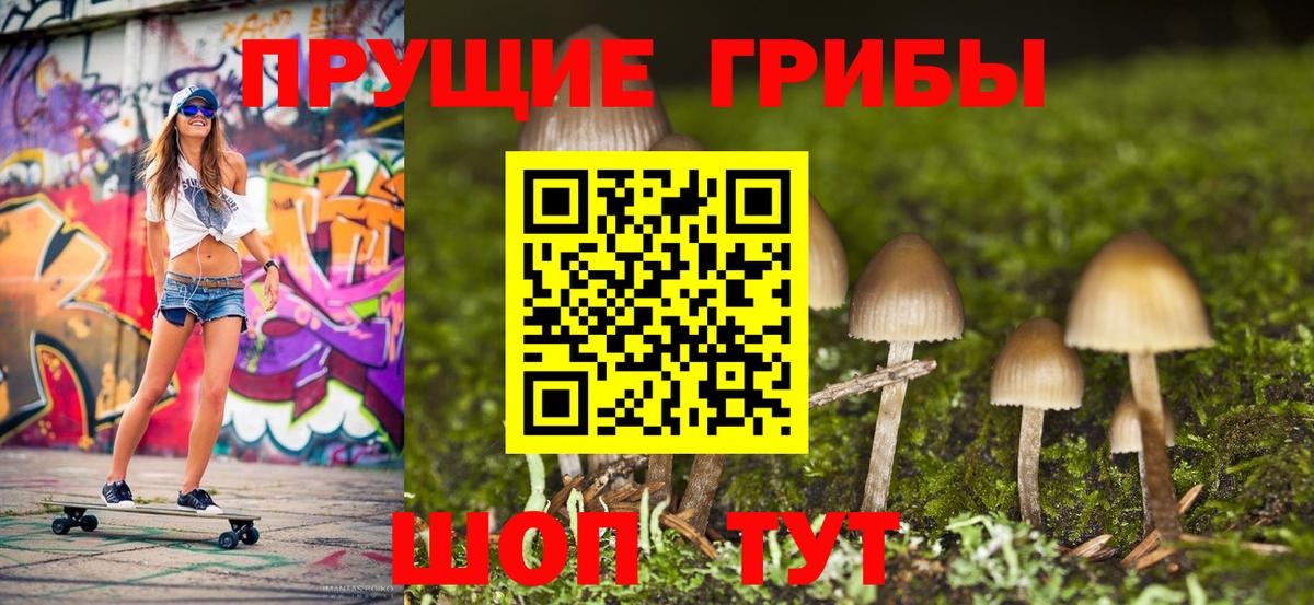 Галлюциногенные грибы ЛСД  Вход с VPN  где продают наркотики  Минусинск  Галлюциногенные грибы Cubensis 