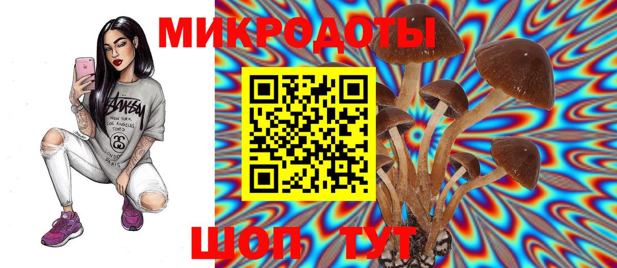 Галлюциногенные грибы GOLDEN TEACHER Минусинск